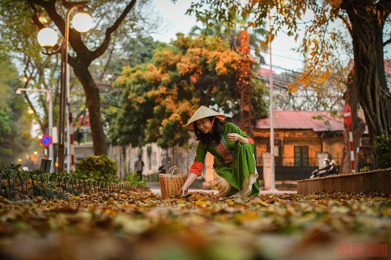 Hà Nội đẹp nao lòng mùa lá rụng tháng 3 -0