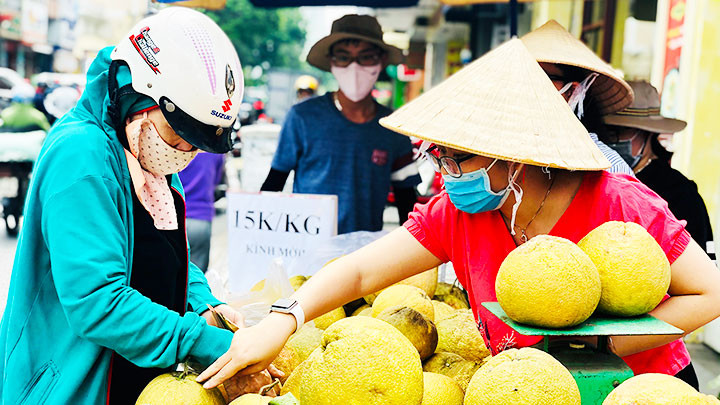 Loay hoay những ngày giải cứu -0