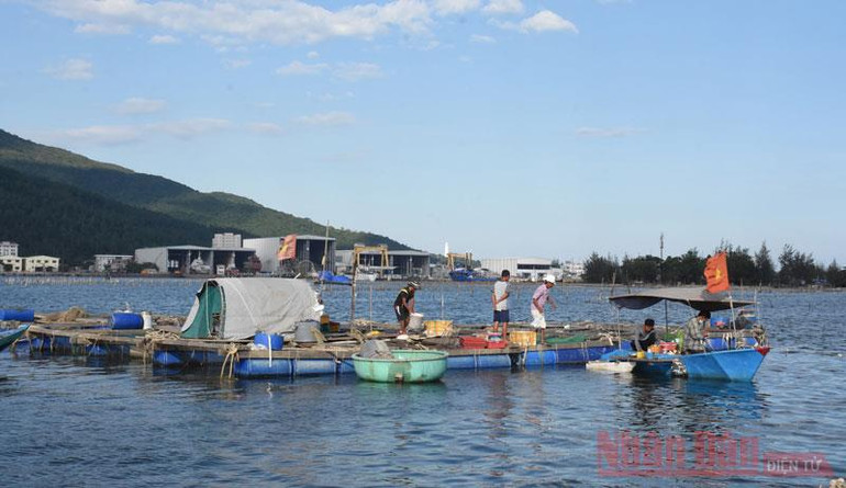 Một ngày trên vịnh Mân Quang -0