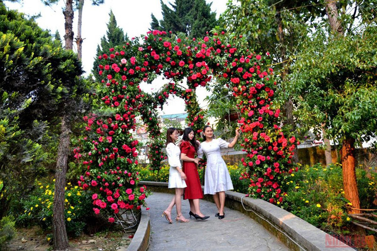 Khai trương Chợ đêm và ẩm thực Bắc Hà -0