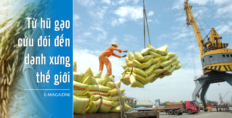 cover.jpg -0