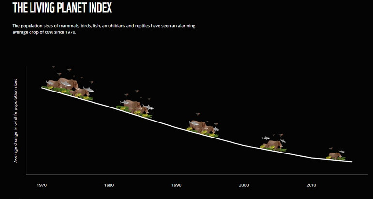 WWF: Hành tinh chúng ta đang phát tín hiệu đỏ -0