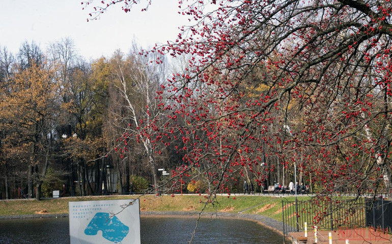 Bịn rịn mùa vàng Moskva -0