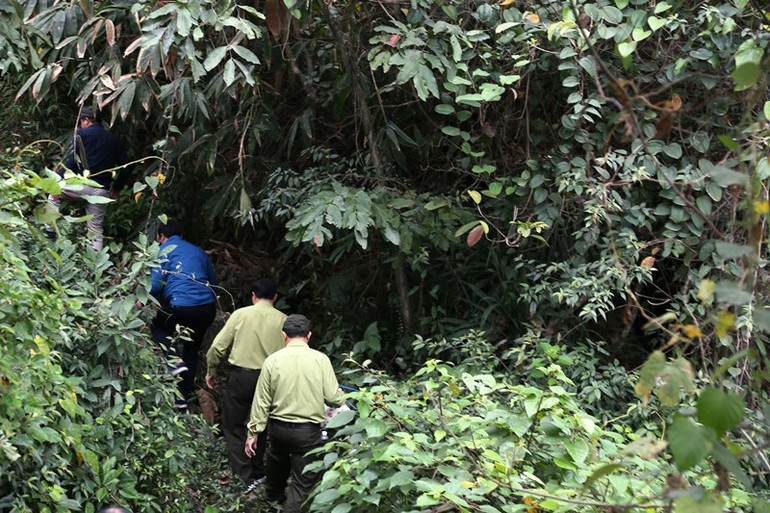 Cần bảo tồn khẩn cấp loài vọoc mông trắng tại Hà Nam -0