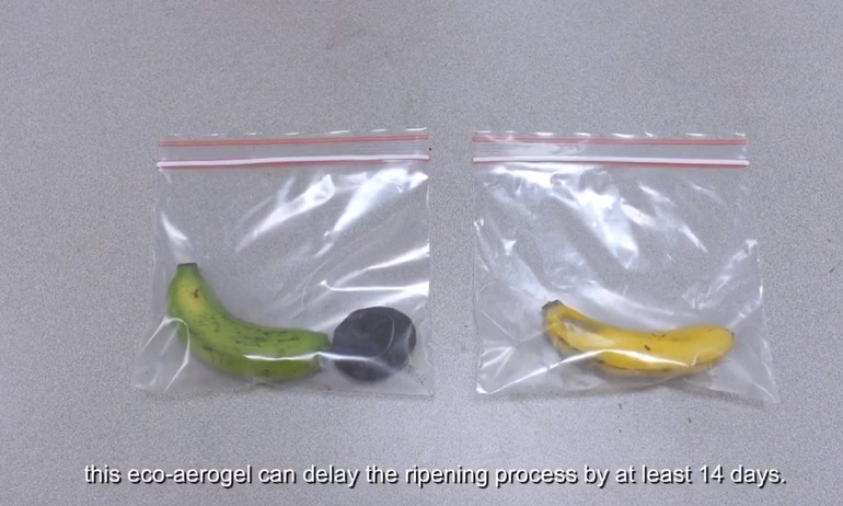 Biến lá dứa vô dụng thành chất bảo quản thực phẩm và xử lý nước thải -0