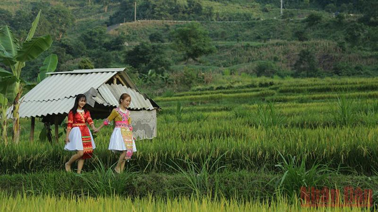 Ruộng bậc thang giữa lòng chảo Điện Biên -0