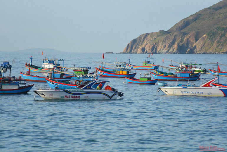Nhơn Lý với tiềm năng du lịch khởi sắc -0