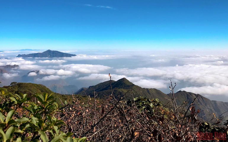 Xanh ngát màu Pu Ta Leng -1