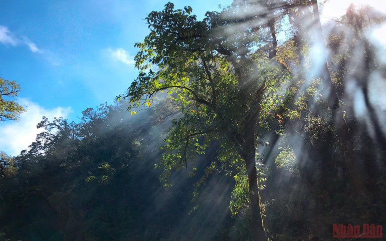 Xanh ngát màu Pu Ta Leng -1