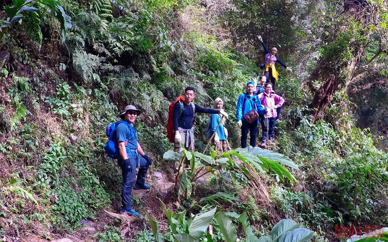Xanh ngát màu Pu Ta Leng -0