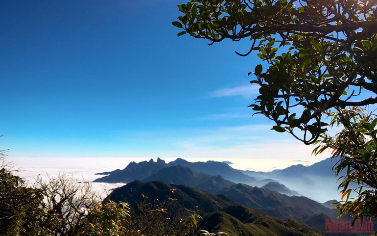 Xanh ngát màu Pu Ta Leng -0