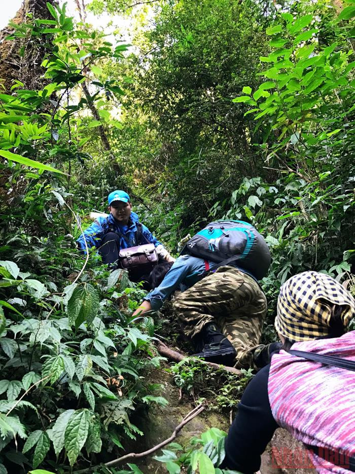 Xanh ngát màu Pu Ta Leng -0