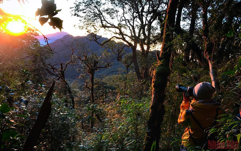 Xanh ngát màu Pu Ta Leng -0