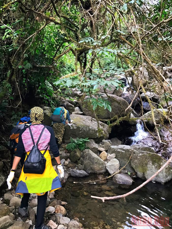 Xanh ngát màu Pu Ta Leng -0