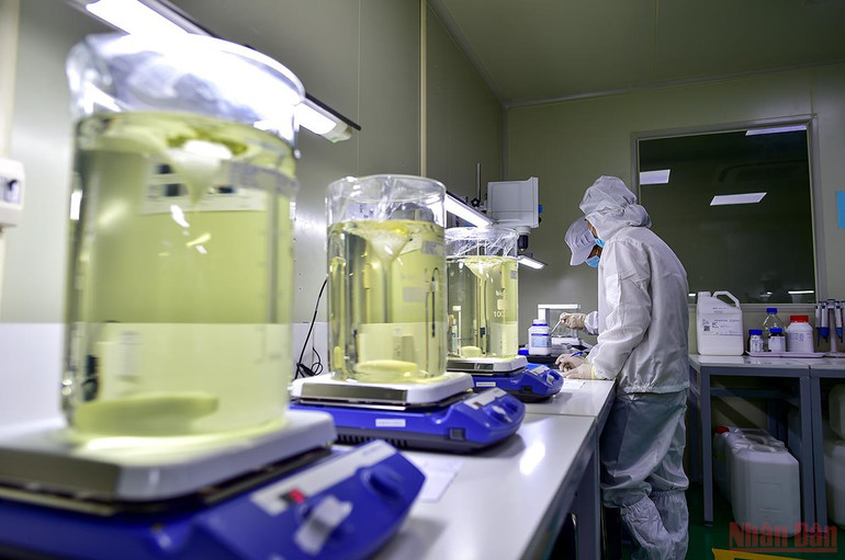 Cận cảnh quy trình sản xuất kit Test nhanh kháng nguyên SARS-CoV-2 “Made in Viet Nam” -0