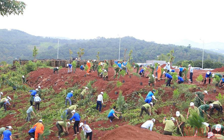 Đắk Nông trồng gần 100 nghìn cây xanh trong ngày sinh nhật Bác -0