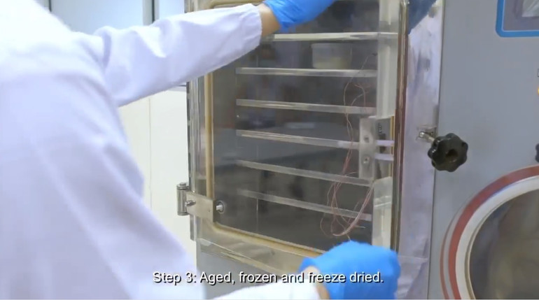 Biến lá dứa vô dụng thành chất bảo quản thực phẩm và xử lý nước thải - 2