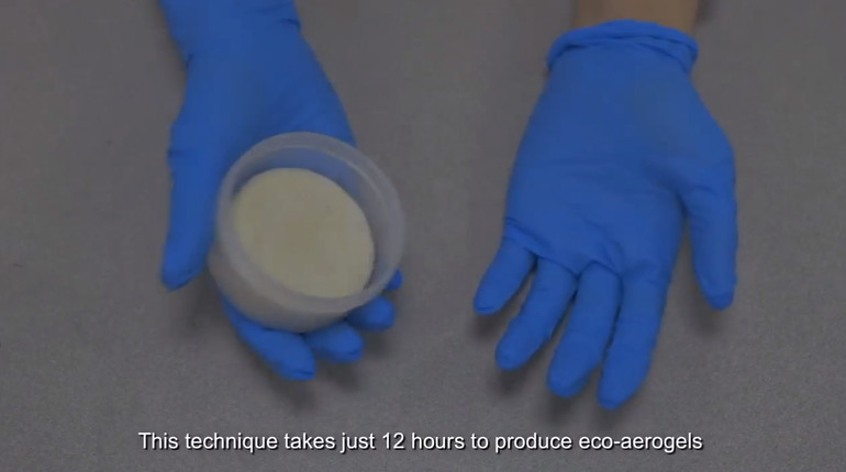 Biến lá dứa vô dụng thành chất bảo quản thực phẩm và xử lý nước thải -0