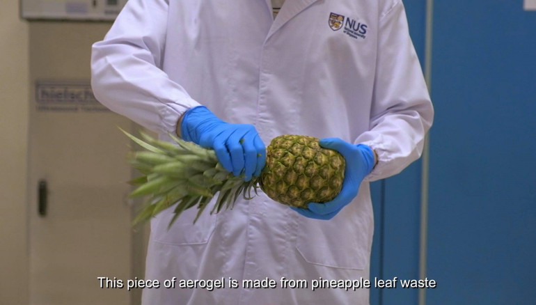 Nhà khoa học gốc Việt biến lá dứa thành vật liệu aerogel vô giá -0