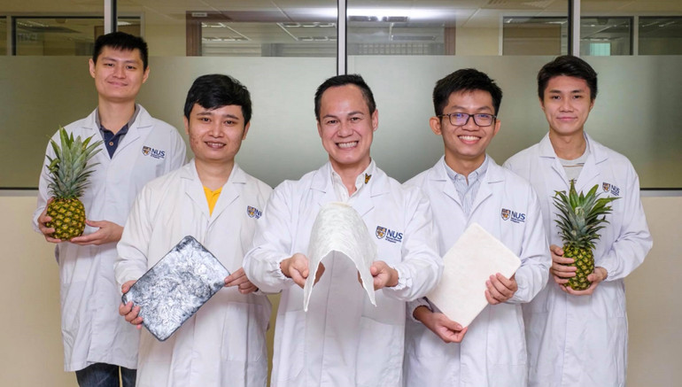 Nhà khoa học gốc Việt biến lá dứa thành vật liệu aerogel vô giá -0