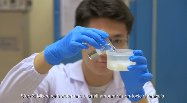 Biến lá dứa vô dụng thành chất bảo quản thực phẩm và xử lý nước thải - 1