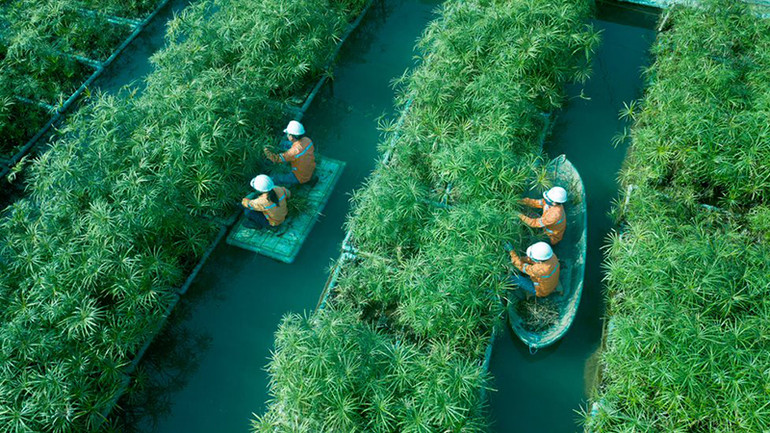 Gắn với cộng đồng để phát triển bền vững -0