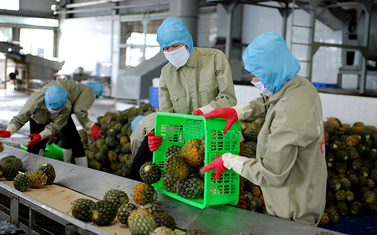 Nhiều giải pháp khơi thông tiêu thụ và xuất khẩu nông sản -0