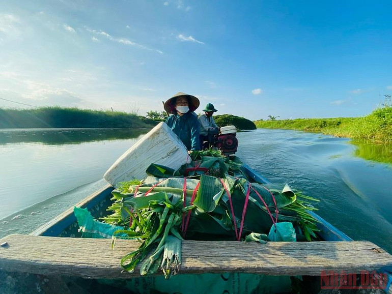 Quảng Ngãi: “Du mục” giữa lòng phố -0