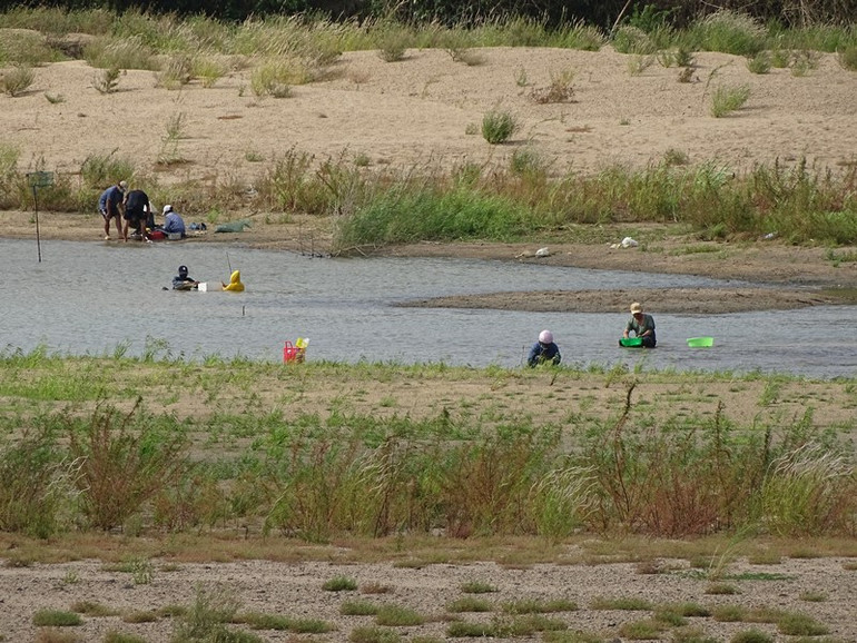 Nỗ lực tìm nguồn nước cứu lúa giữa tâm dịch Covid-19. -0