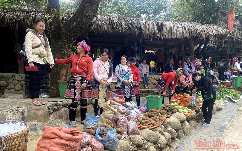 Sin Suối Hồ - Ngàn mặt trời rực rỡ -1