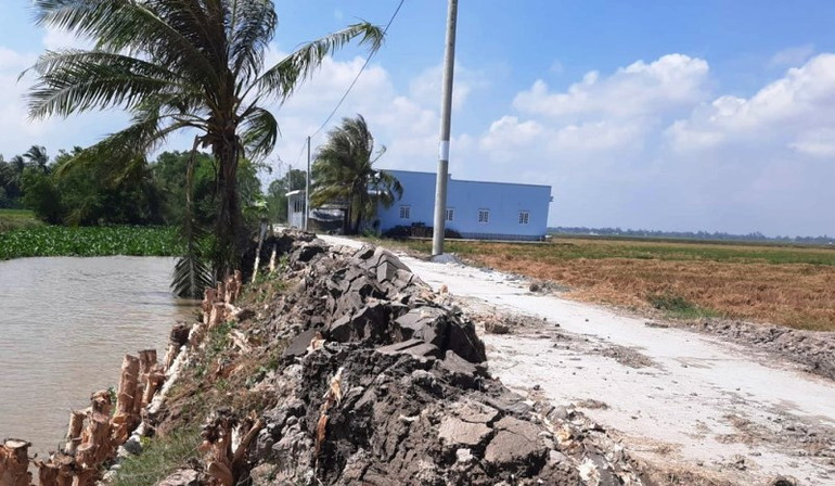 Cần xử lý dứt điểm sai phạm trong đấu thấu, xây dựng các dự án ở Bạc Liêu -0