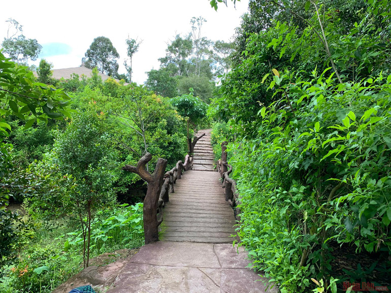 Trải nghiệm công viên động vật hoang dã Safari Phú Quốc -0