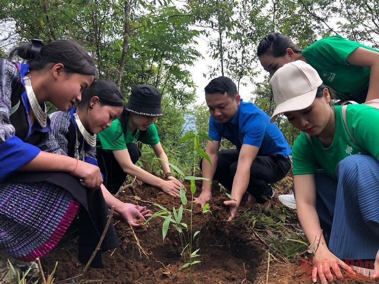 Khởi động chiến dịch Thanh niên tình nguyện hè 2022 -0
