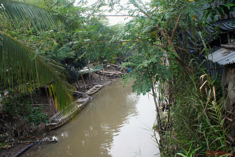 Vườn cò Bằng Lăng - sân chim lớn nhất đồng bằng sông Cửu Long -0