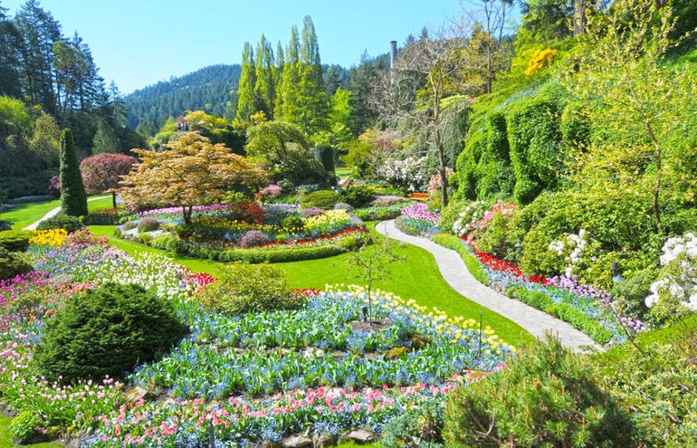 Quần thể vườn Butchart nằm tại bang Victoria, Canada, được biết tới với tên gọi “thành phố của những khu vườn”. Trải rộng trên diện tích khoảng 22,26 ha, quần thể vườn Butchart sở hữu tới 900 loài cây. Vùng đất này từng thuộc sở hữu của Công ty Xi-măng Portland và vợ của chủ công ty, bà Jennie Butchart đã biến khu vực này thành những khu vườn được hàng triệu du khách yêu thích mỗi năm. Những khu vườn ấn tượng trên thế giới -1