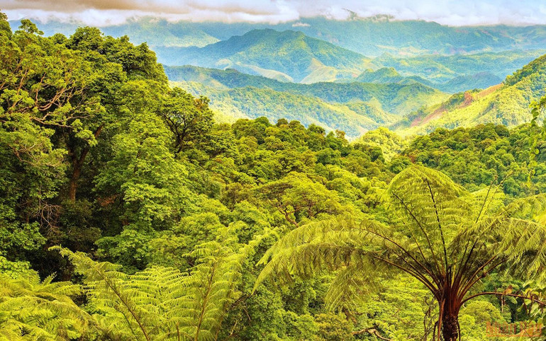 Khám phá thác Tóc Tiên, rừng Động Châu ở Quảng Bình -0