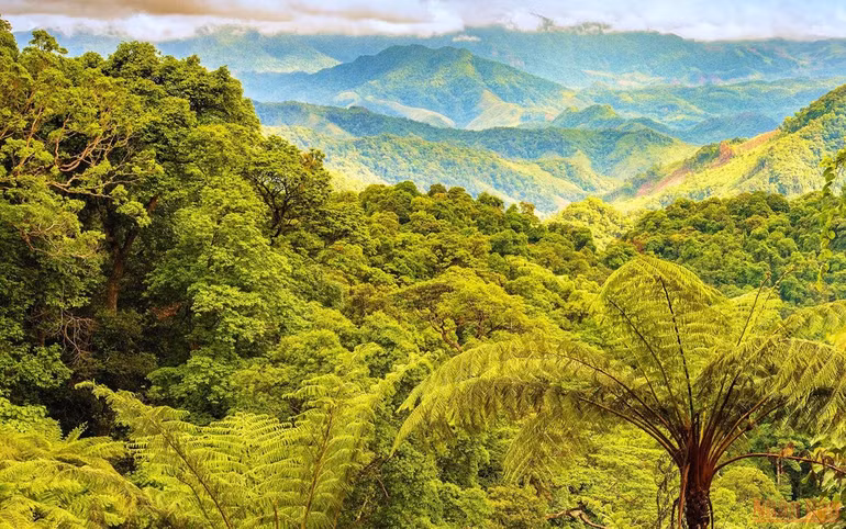 Khám phá thác Tóc Tiên, rừng Động Châu ở Quảng Bình -0