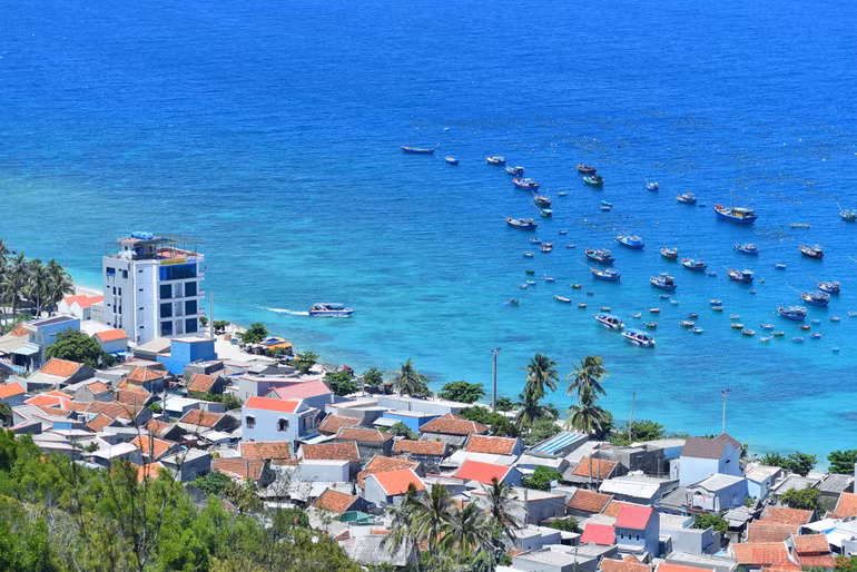 Xanh như Cù Lao Xanh ảnh 1 1_culaoxanh-1595221061906.jpg