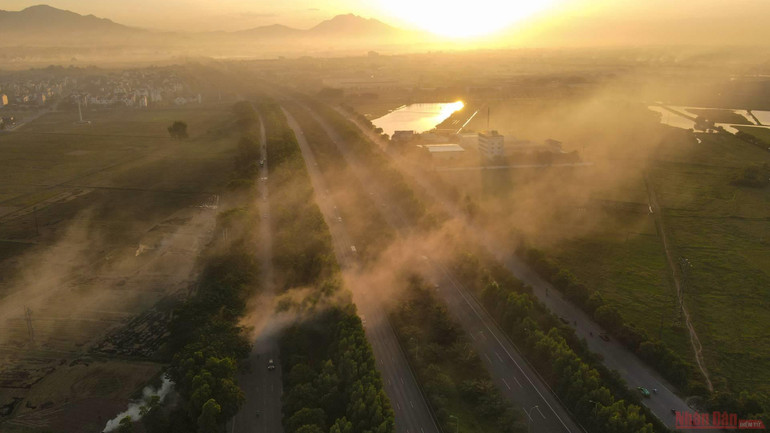 Nông dân Hà Nội tất bật mùa vàng dưới nắng hè oi ả -0