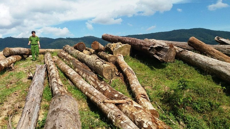 Còn nhiều khó khăn trong bảo vệ rừng -0