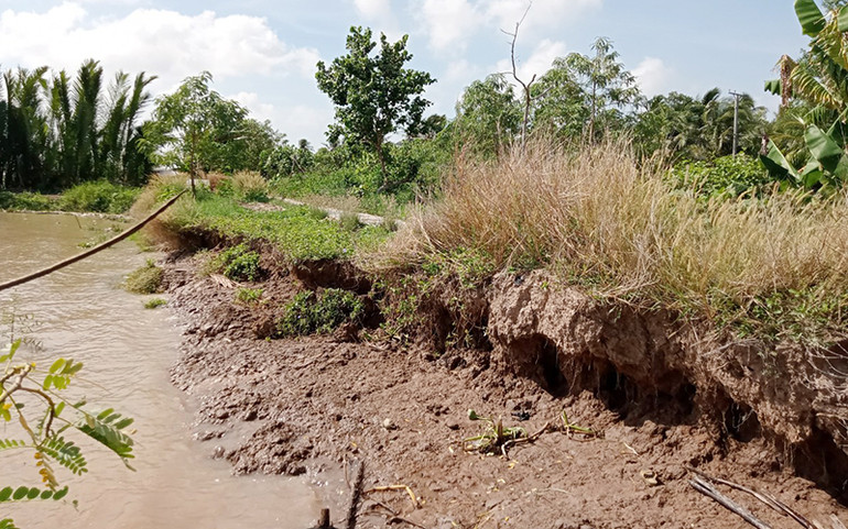 Sóc Trăng công bố tình huống khẩn cấp sạt lở nguy hiểm bờ sông Hậu -0
