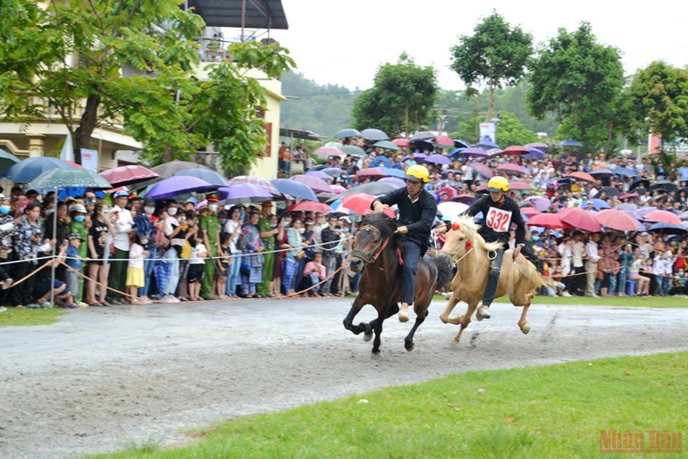 Sôi động đua ngựa thồ trên cao nguyên trắng Bắc Hà -0
