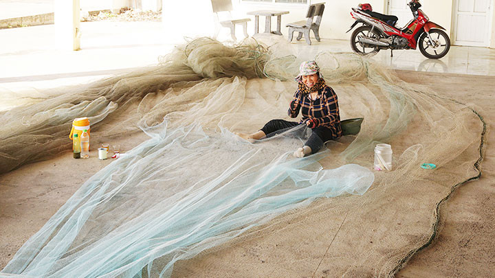 Nhộn nhịp cảng cá Đông Tác -0