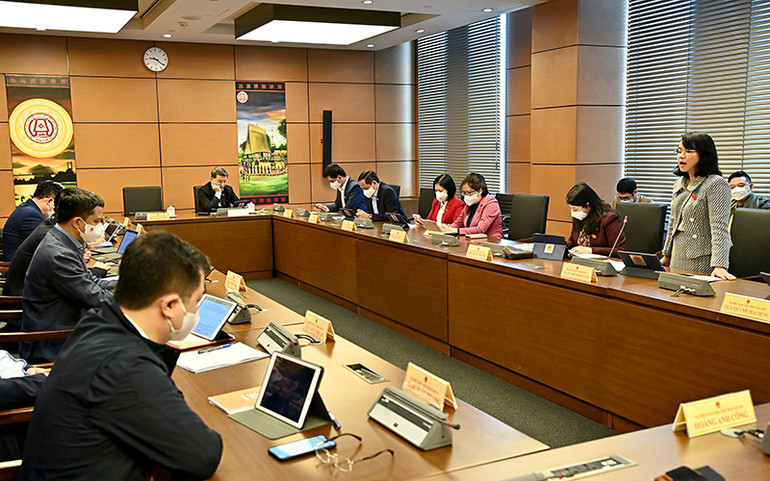 Rà soát kỹ các nội dung khi dùng một luật để sửa nhiều luật -0