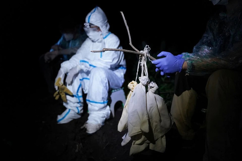 Nghiên cứu dơi Campuchia để truy tìm nguồn gốc của Covid-19 -0