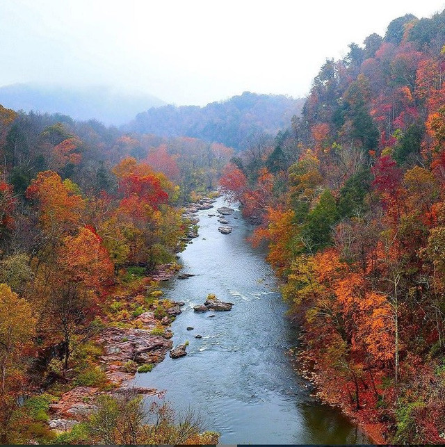 “Đường đèo trong mây” Hải Vân lọt top những cung đường đẹp nhất thế giới -0