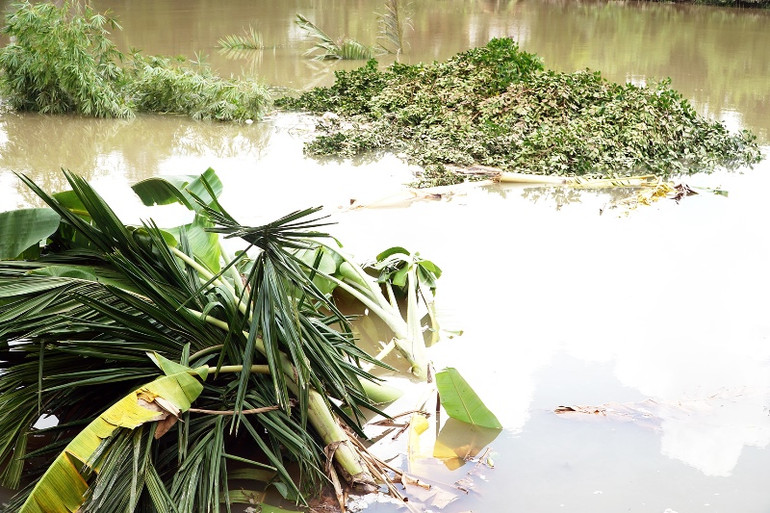 Sóc Trăng xuất hiện nhiều điểm sạt lở bờ sông -0