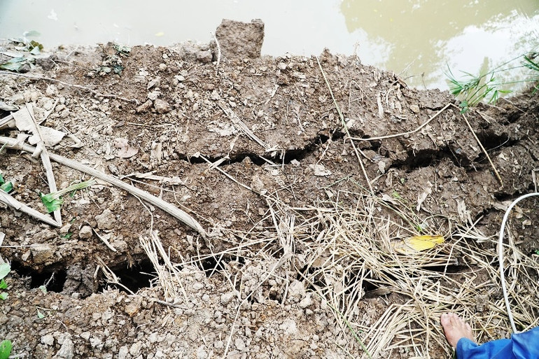 Sóc Trăng xuất hiện nhiều điểm sạt lở bờ sông -0