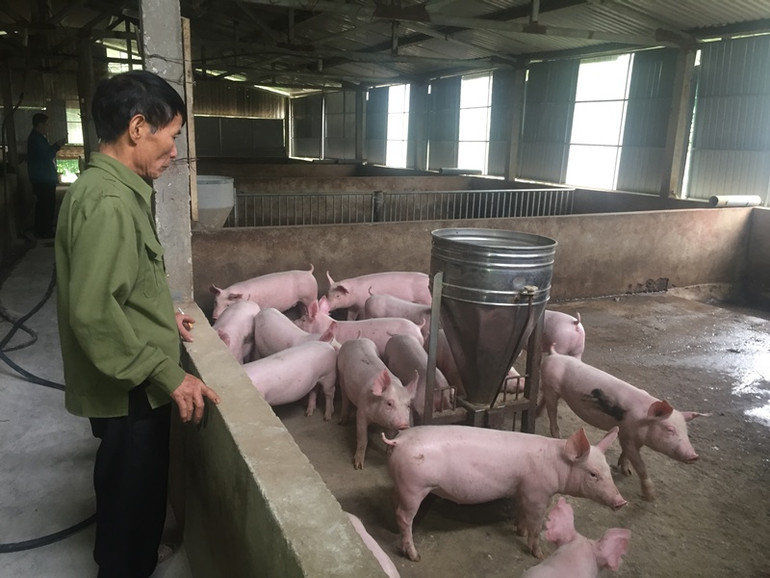 Tiếp sức cho đồng bào vùng 30a vươn lên thoát nghèo -0