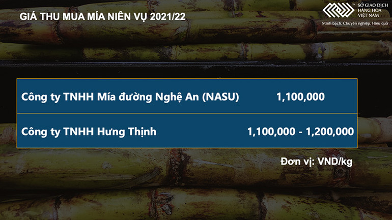 Giá dầu thô ngược chiều giá đường, thị trường đường Việt Nam đang vào vụ thu hoạch -0